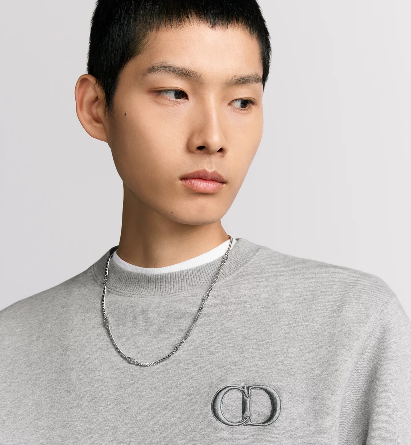 113J699A0531 - - DIOR