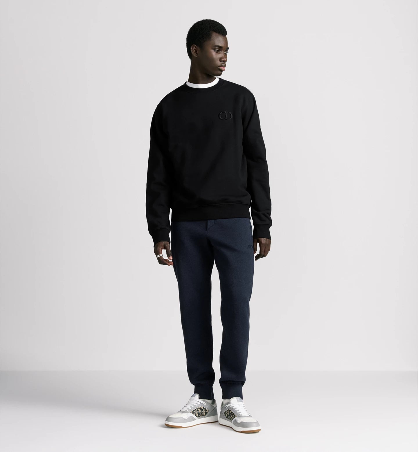 113J699A0531 -  - DIOR